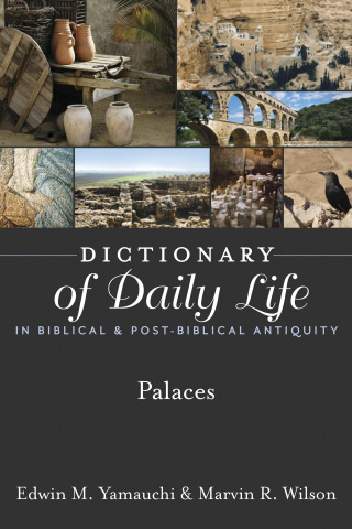 Cover image: Dictionary of Daily Life in Biblical & Post-Biblical Antiquity: Palaces