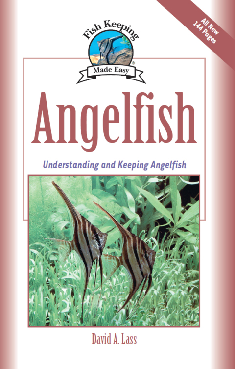 Angelfish: Understanding and Keeping Angelfish - FULL INSTANT DOWNLOAD | PDF DOCX EPUB