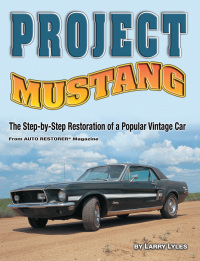 Omslagafbeelding: Project Mustang 9781933958033