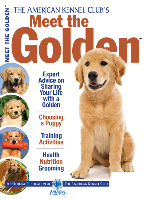 Meet the Golden - FULL INSTANT DOWNLOAD | PDF DOCX EPUB