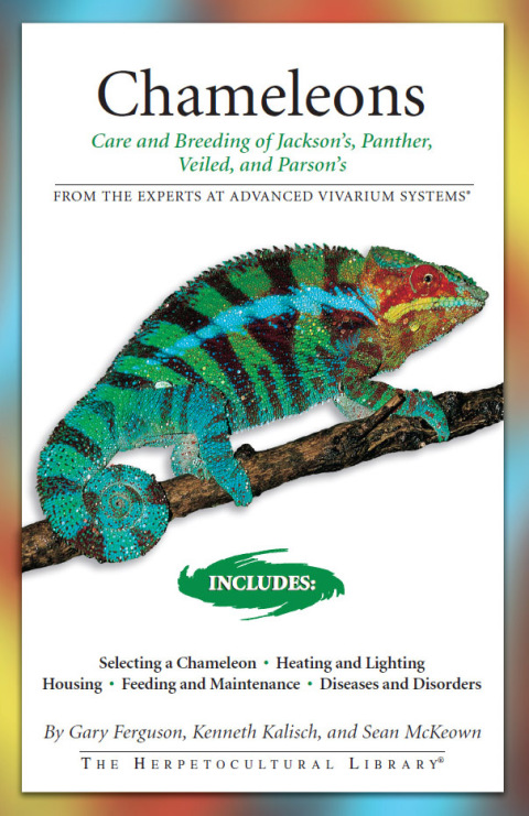 Chameleons: Care and Breeding of Jackson's, Panther, Veiled, and Parson's - FULL INSTANT DOWNLOAD | PDF DOCX EPUB