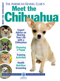 Cover image: Meet the Chihuahua 9781620080337