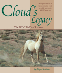 Cover image: Cloud's Legacy 9781620083628