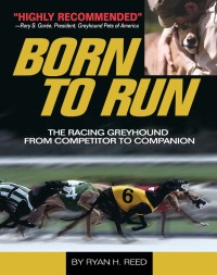 Immagine di copertina: The Born to Run 9781593786892