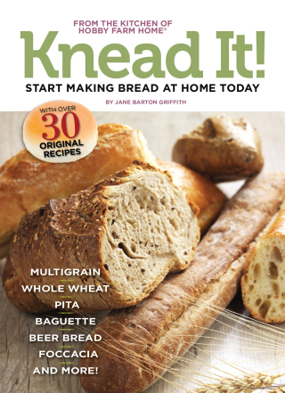 Imagen de portada: Knead It! 9781935484295