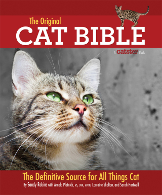 Titelbild: The Original Cat Bible 9781933958798