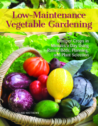 Immagine di copertina: Low-Maintenance Vegetable Gardening 9781620082478