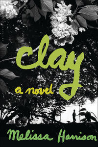 Imagen de portada: Clay 1st edition 9781608199785