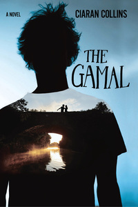 Imagen de portada: The Gamal 1st edition 9781608198757