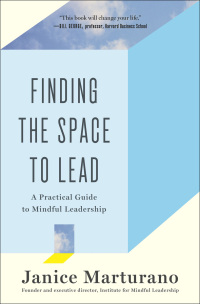 Cover image: Finding the Space to Lead 1st edition 9781620402498