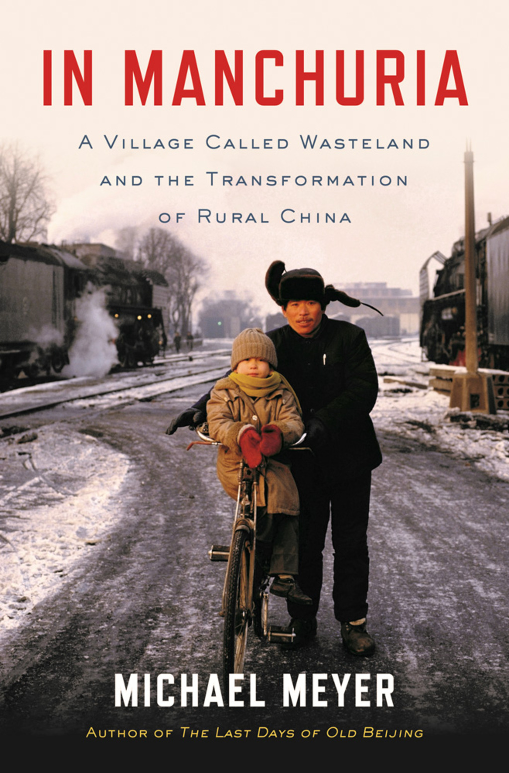 In Manchuria A Village Called Wasteland and the Transformation of Rural China 1st Edition