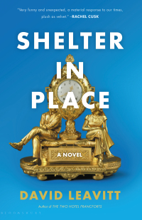 Omslagafbeelding: Shelter in Place 1st edition 9781620404881