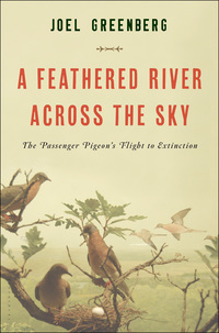 Cover image: A Feathered River Across the Sky 1st edition 9781620405369