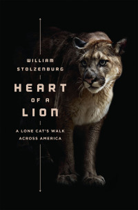 Omslagafbeelding: Heart of a Lion 1st edition 9781620405529