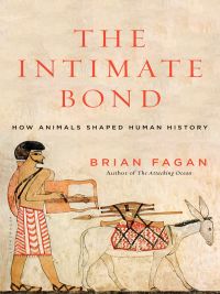 Cover image: The Intimate Bond 1st edition 9781620405734