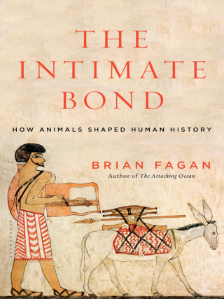 صورة الغلاف: The Intimate Bond 1st edition 9781620405734