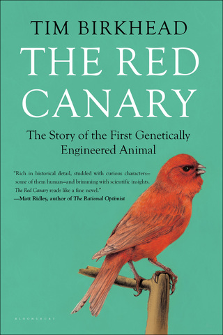 Cover image: The Red Canary 1st edition 9781620407578