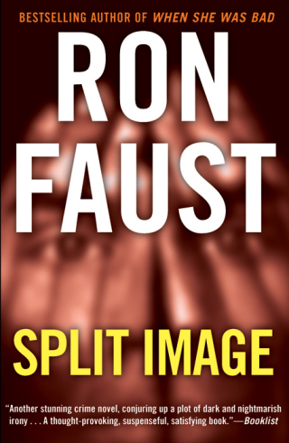 Cover image: Split Image 1st edition 9781620454442
