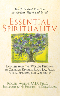 Cover image: Essential Spirituality 1st edition 9780471392163