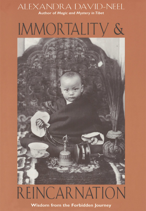 Immortality and Reincarnation: Wisdom from the Forbidden Journey - FULL INSTANT DOWNLOAD | PDF DOCX EPUB