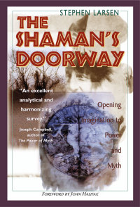 Cover image: The Shaman's Doorway 9780892816729