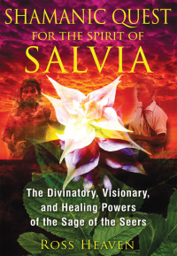 Cover image: Shamanic Quest for the Spirit of Salvia 9781620550007
