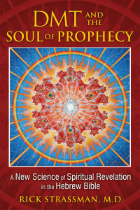 Cover image: DMT and the Soul of Prophecy 9781594773426