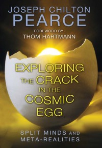 Cover image: Exploring the Crack in the Cosmic Egg 6th edition 9781620552544