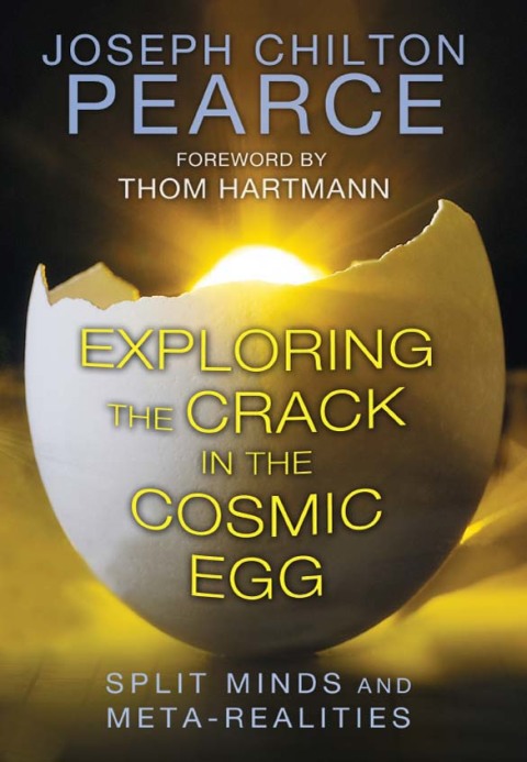 Exploring the Crack in the Cosmic Egg: Split Minds and Meta-Realities, 6th Edition - FULL INSTANT DOWNLOAD | PDF DOCX EPUB