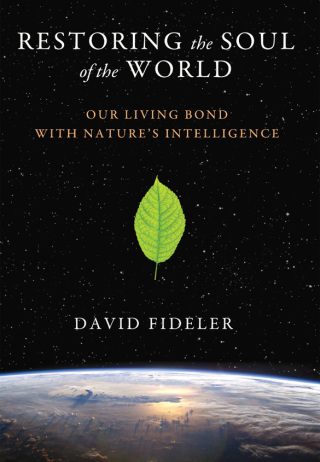 Cover image: Restoring the Soul of the World 9781620553596