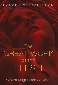 Cover image: The Great Work of the Flesh 9781620553787
