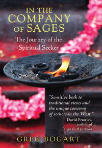 Cover image: In the Company of Sages 2nd edition 9781620553848