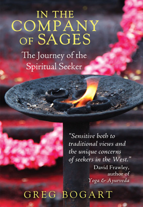 In the Company of Sages: The Journey of the Spiritual Seeker, 2nd Edition - FULL INSTANT DOWNLOAD | PDF DOCX EPUB