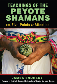 Cover image: Teachings of the Peyote Shamans 9781620554616