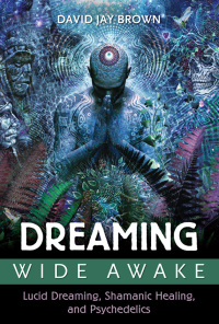 Cover image: Dreaming Wide Awake 9781620554890
