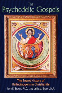 Cover image: The Psychedelic Gospels 9781620555026
