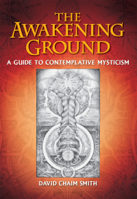 Cover image: The Awakening Ground 9781620555330
