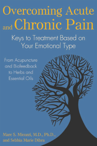 Cover image: Overcoming Acute and Chronic Pain 9781620555637