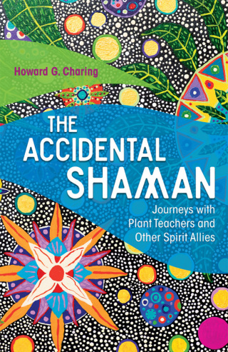 Cover image: The Accidental Shaman 9781620556092