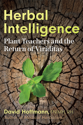 Cover image: Herbal Intelligence 9781620556146