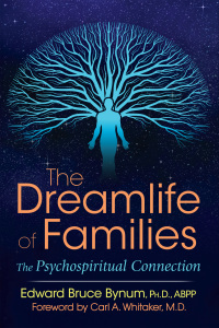 Cover image: The Dreamlife of Families 2nd edition 9781620556320
