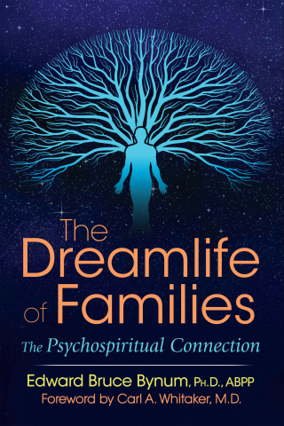 Cover image: The Dreamlife of Families 2nd edition 9781620556320