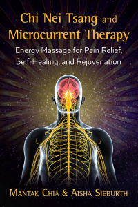 Cover image: Chi Nei Tsang and Microcurrent Therapy 9781620557433