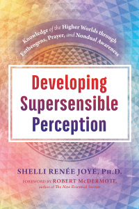 Cover image: Developing Supersensible Perception 9781620558751
