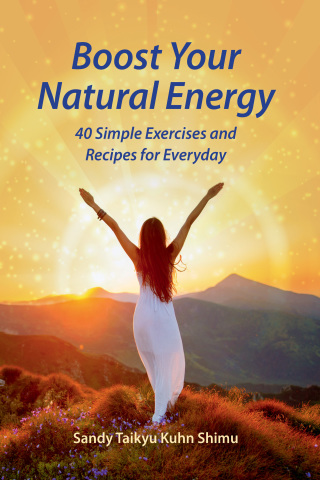 Cover image: Boost Your Natural Energy 9781620559741