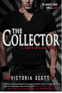 Cover image: The Collector 9781620612422