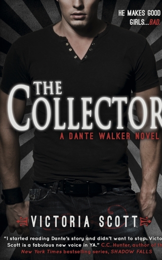 Cover image: The Collector 9781620612422