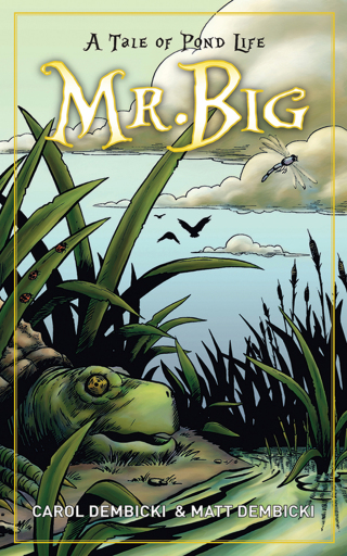 Cover image: Mr. Big 9781616089672
