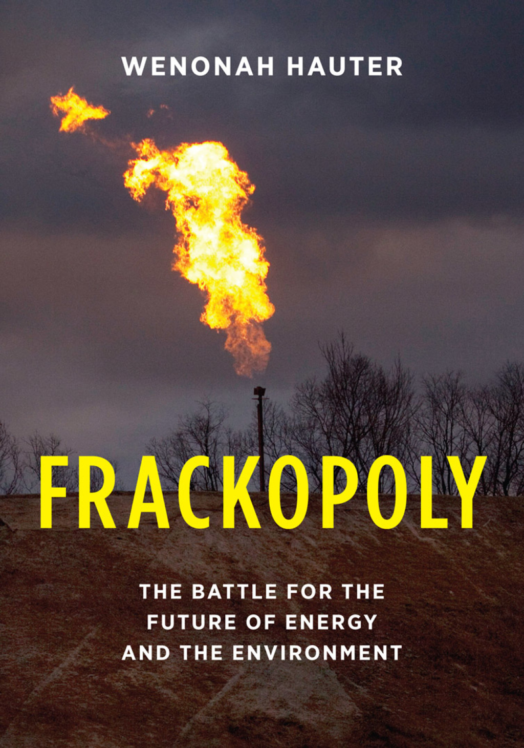 Frackopoly The Battle for the Future of Energy and the Environment