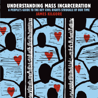 Cover image: Understanding Mass Incarceration 9781620970676